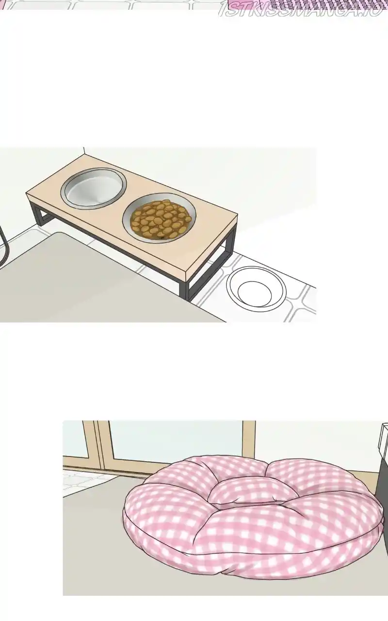 I Gave Birth to a Dog Chapter 81