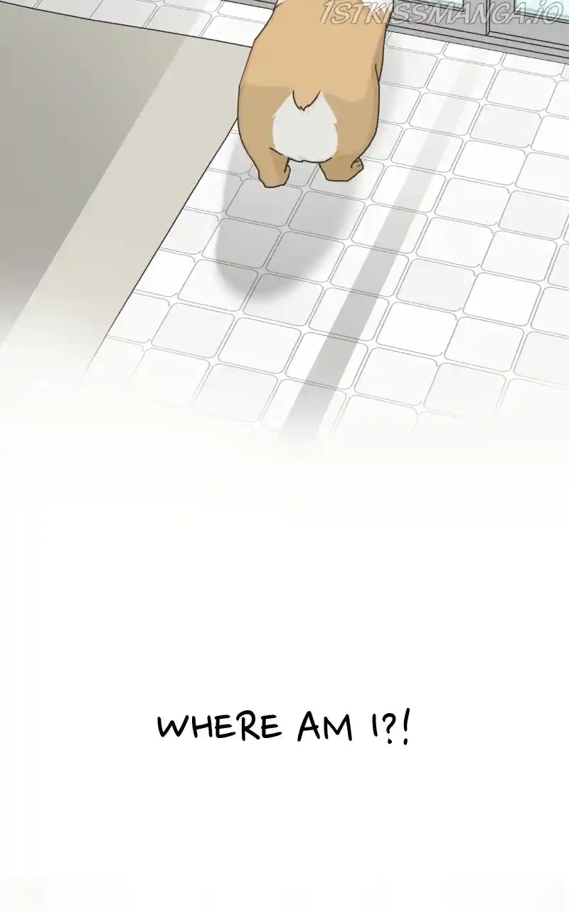 I Gave Birth to a Dog Chapter 81