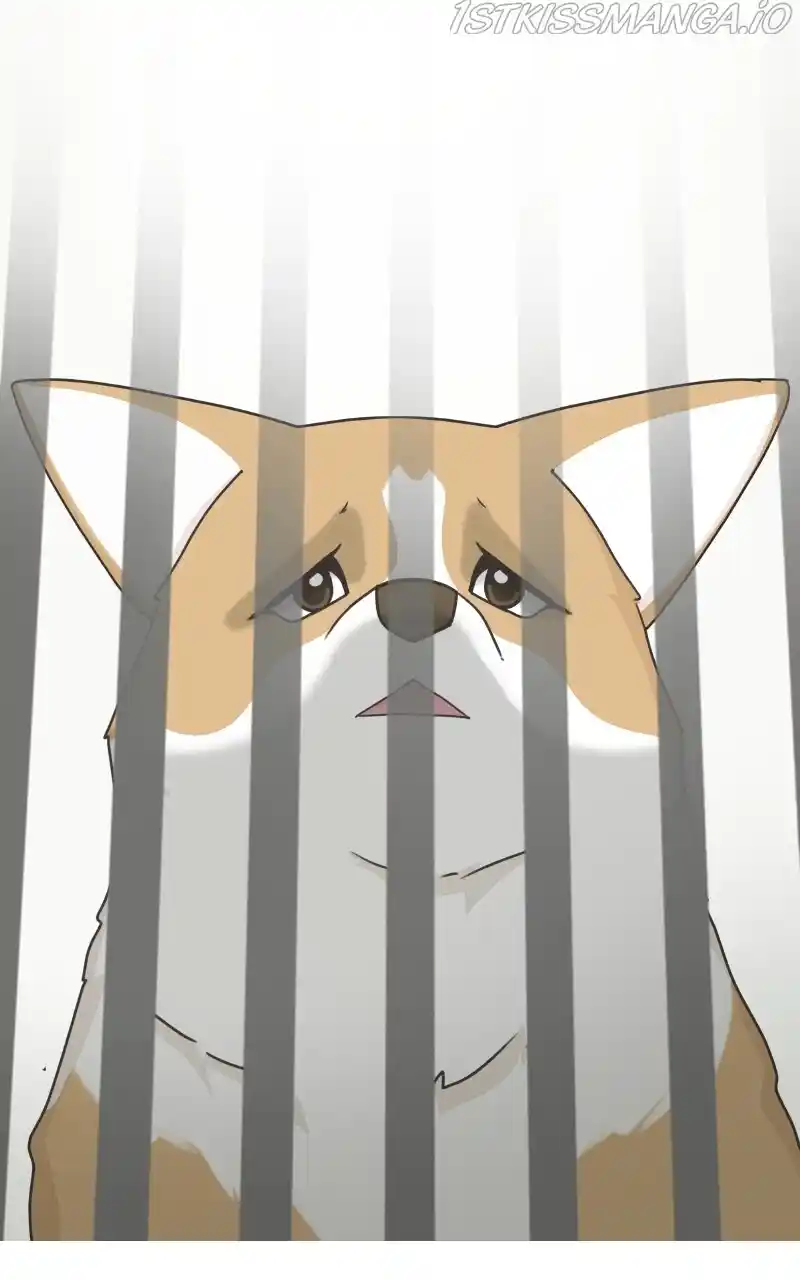I Gave Birth to a Dog Chapter 81