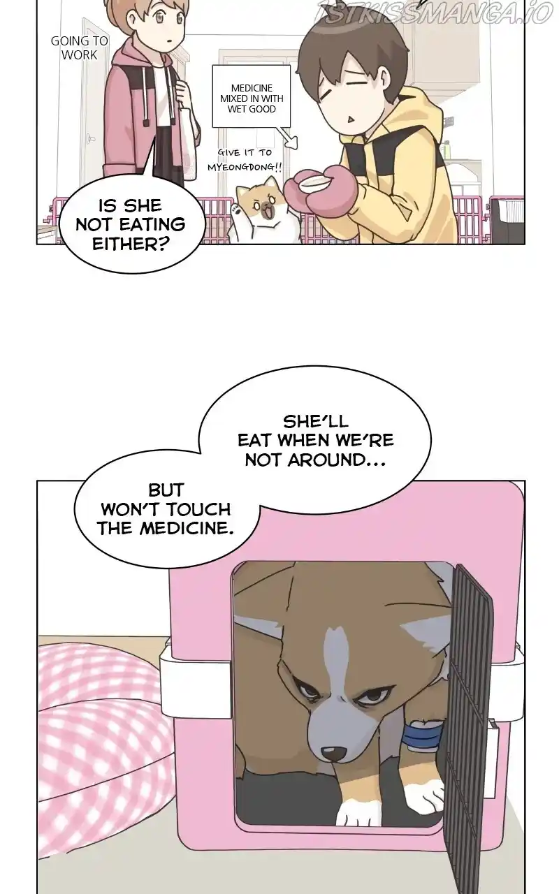 I Gave Birth to a Dog Chapter 81