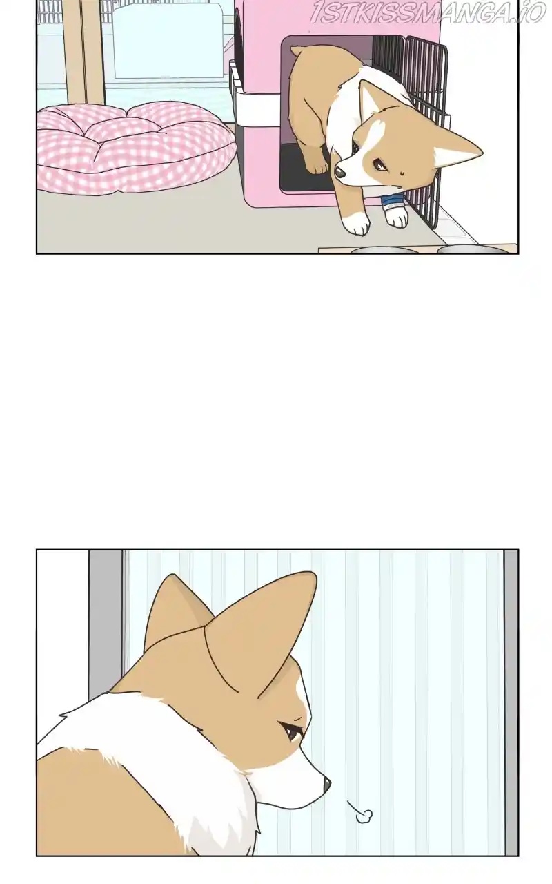 I Gave Birth to a Dog Chapter 82