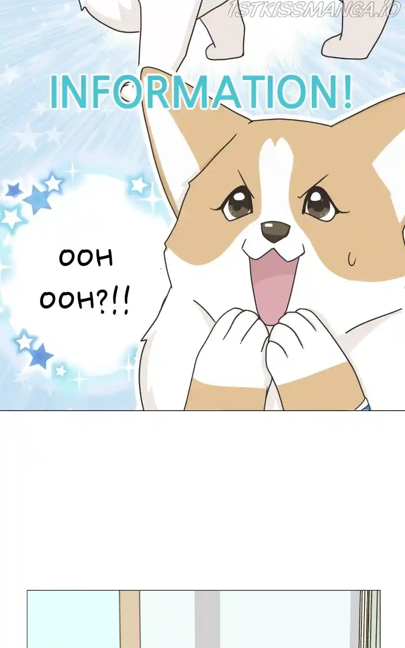 I Gave Birth to a Dog Chapter 82