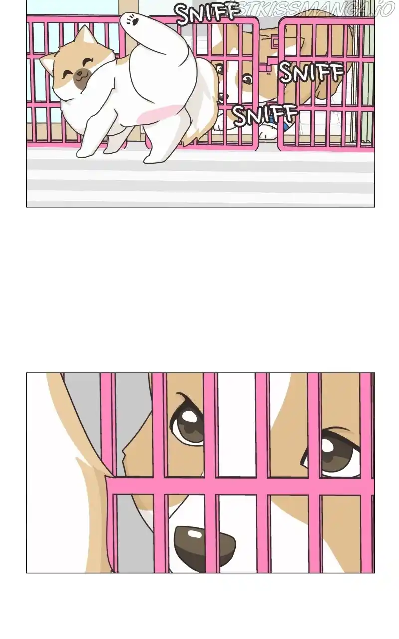 I Gave Birth to a Dog Chapter 82