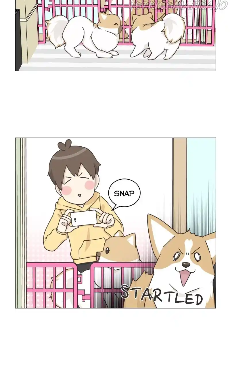 I Gave Birth to a Dog Chapter 82