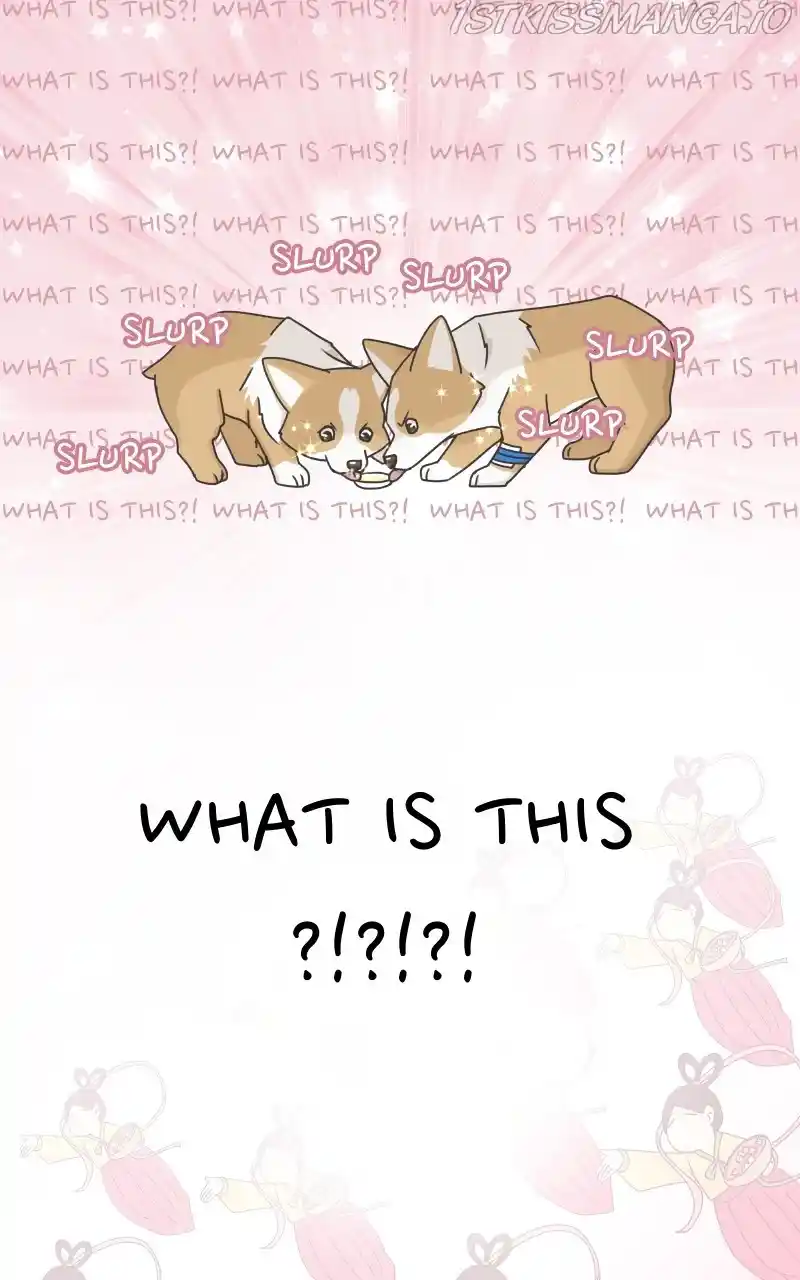 I Gave Birth to a Dog Chapter 82