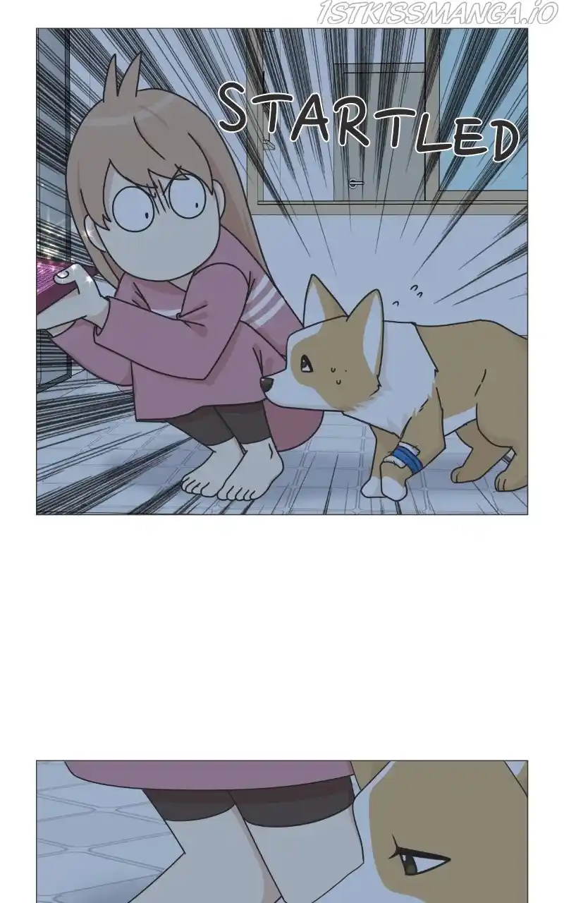 I Gave Birth to a Dog Chapter 82