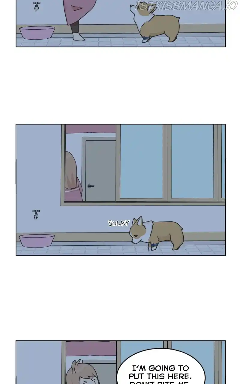 I Gave Birth to a Dog Chapter 82