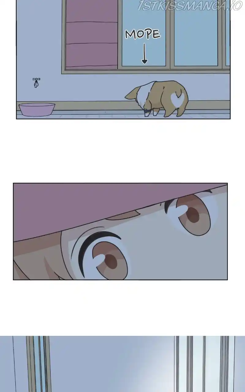 I Gave Birth to a Dog Chapter 82