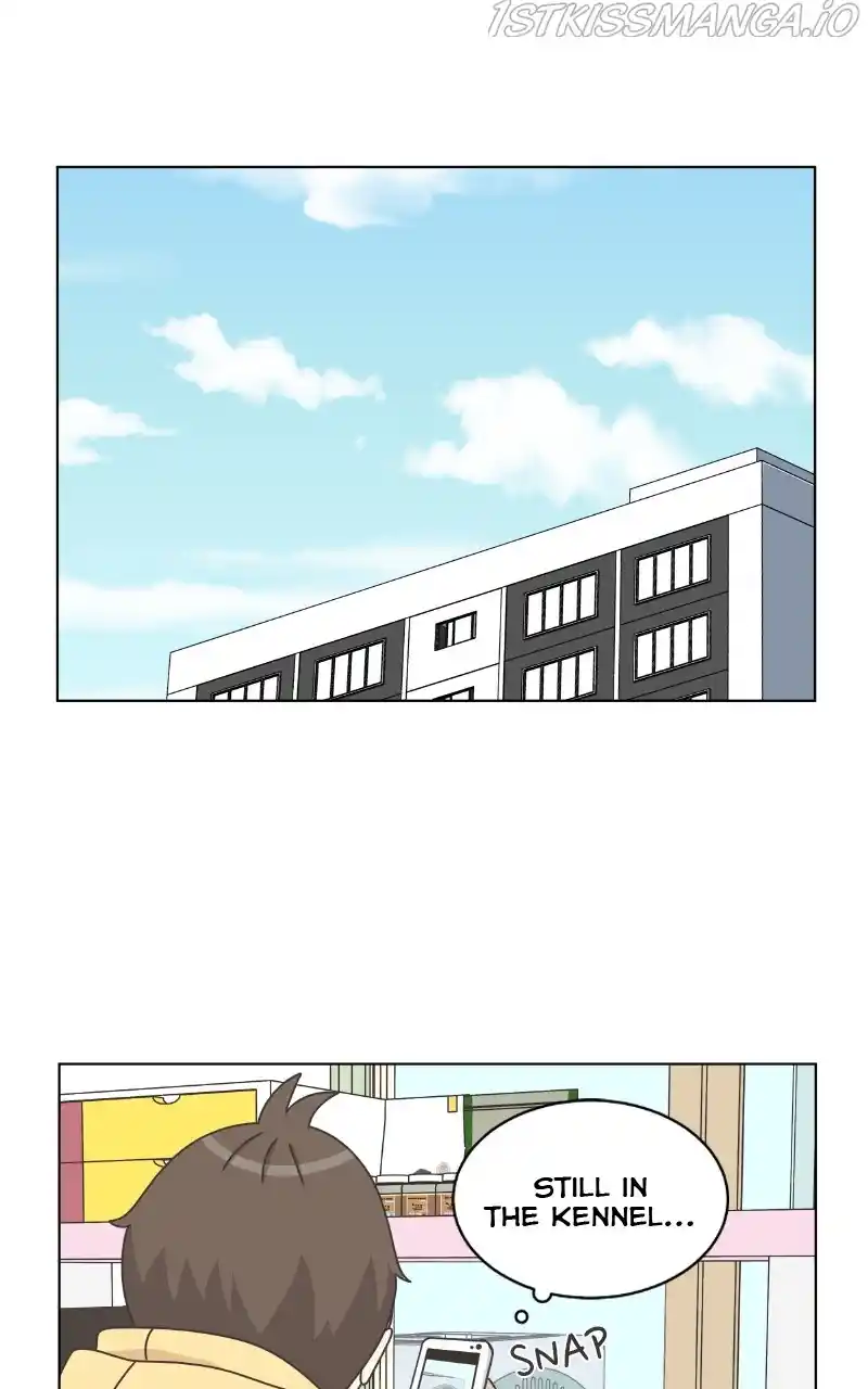 I Gave Birth to a Dog Chapter 82