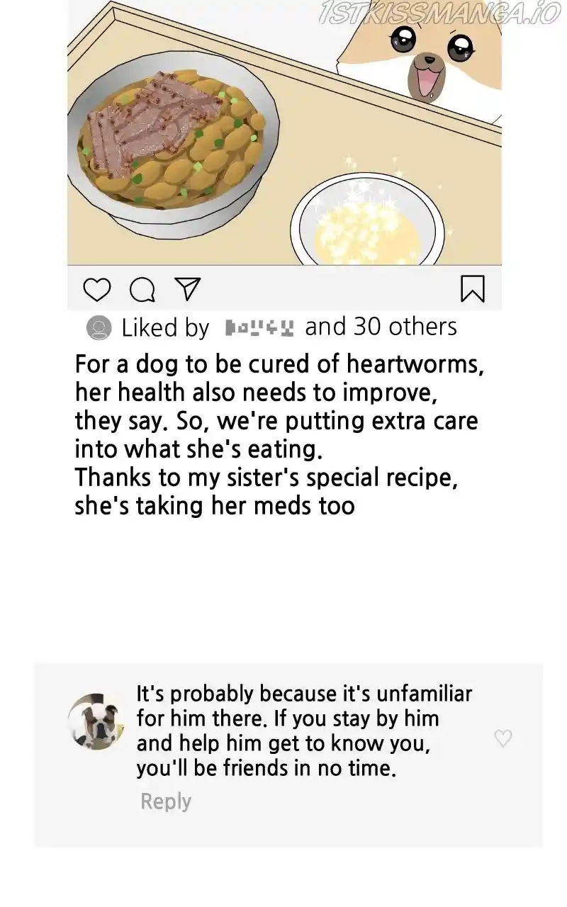 I Gave Birth to a Dog Chapter 83