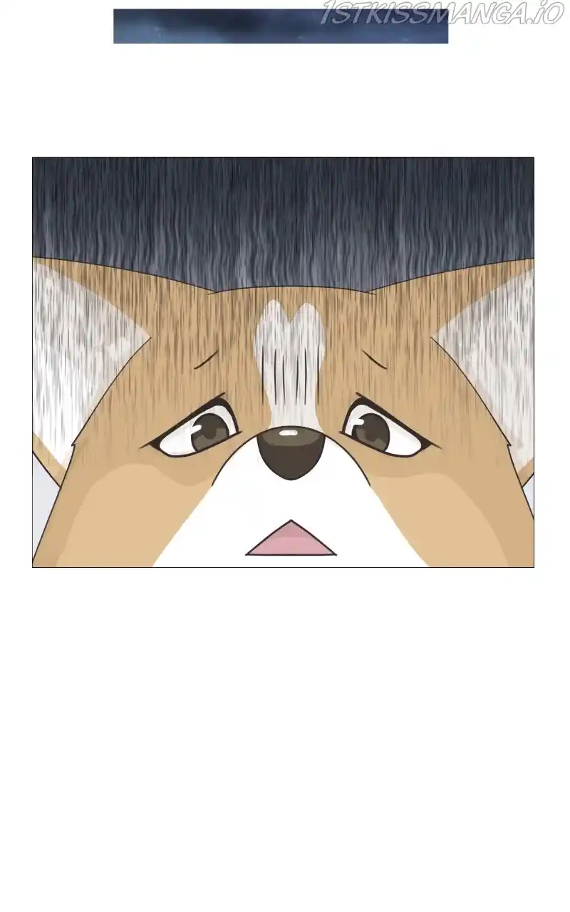 I Gave Birth to a Dog Chapter 83