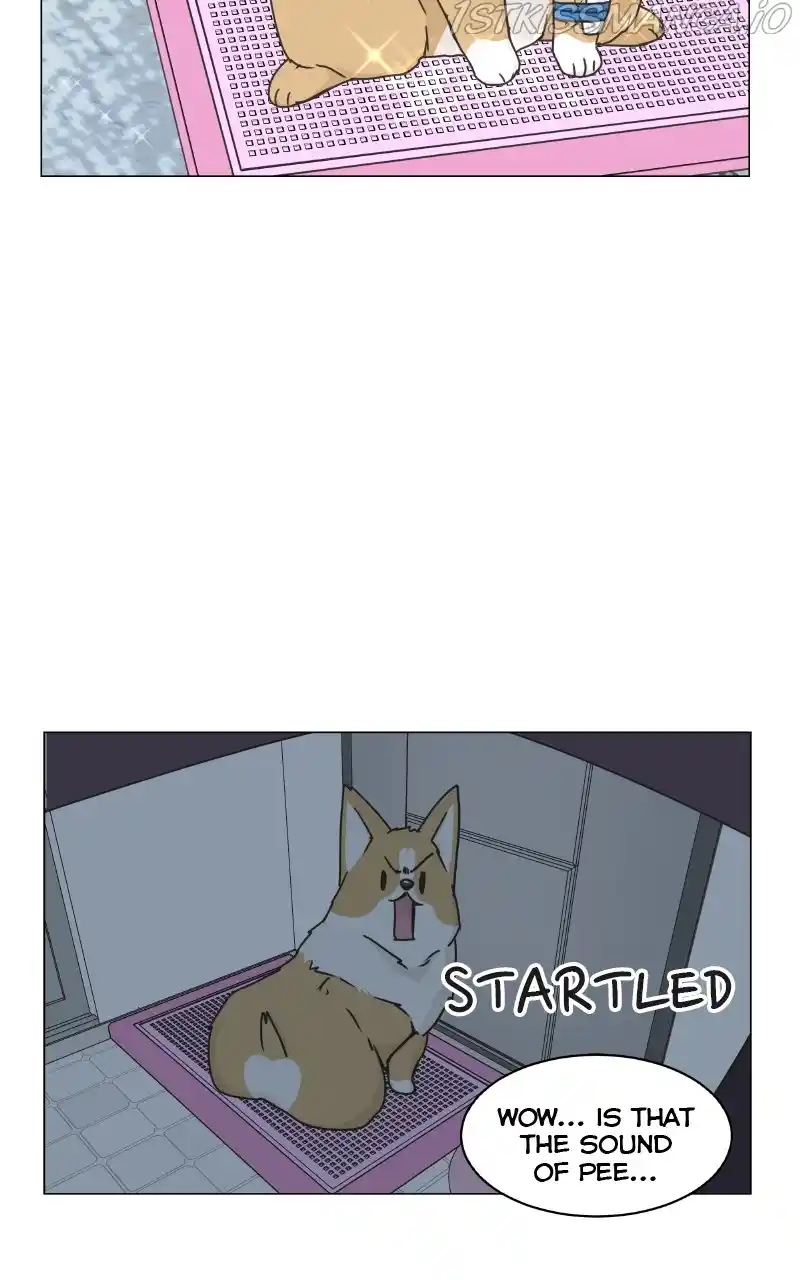 I Gave Birth to a Dog Chapter 83