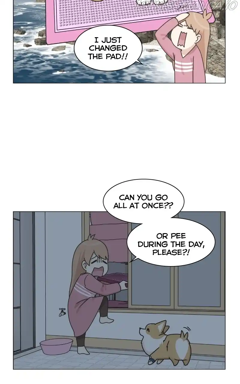 I Gave Birth to a Dog Chapter 83