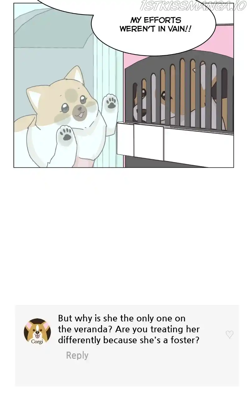 I Gave Birth to a Dog Chapter 83