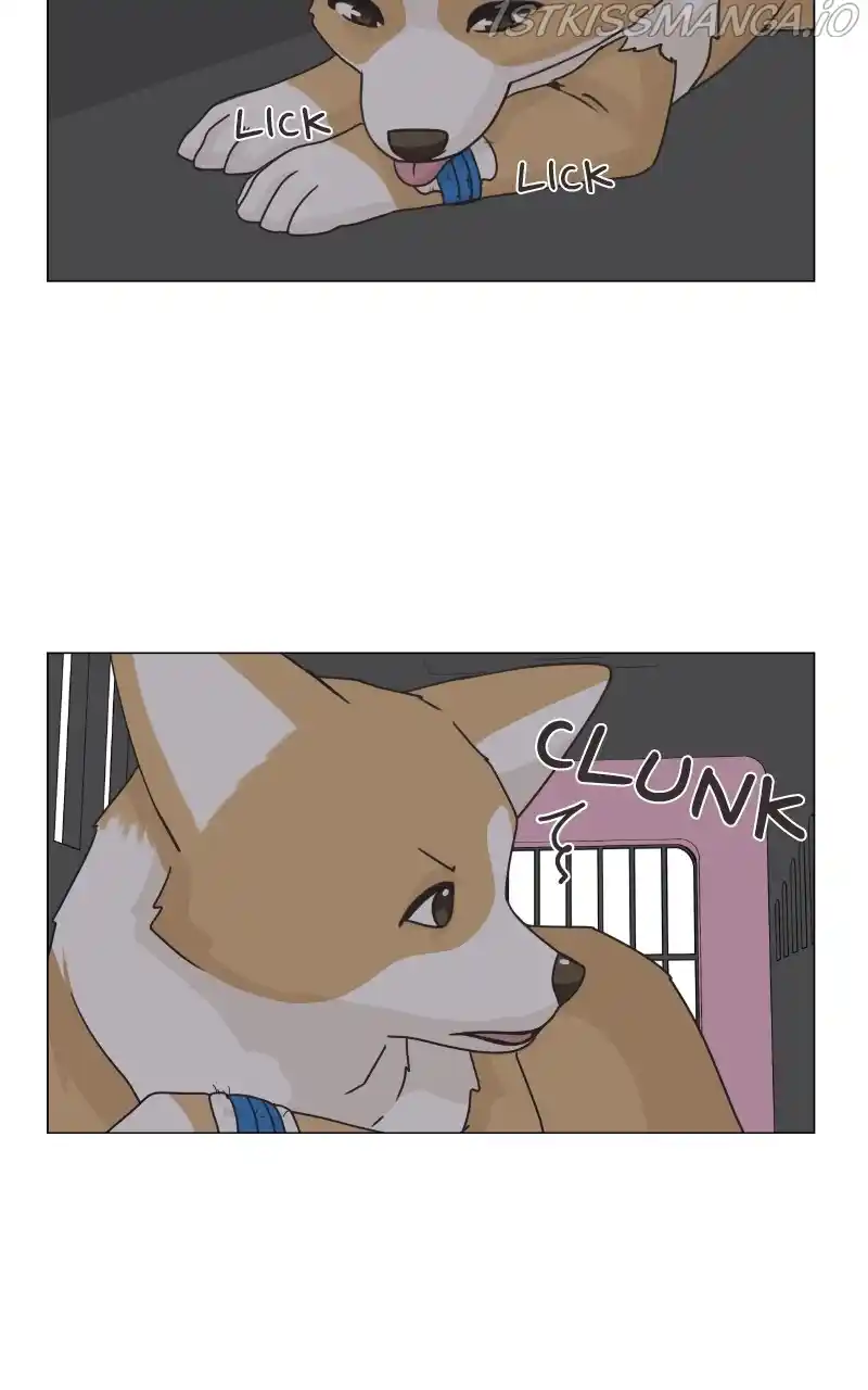 I Gave Birth to a Dog Chapter 83