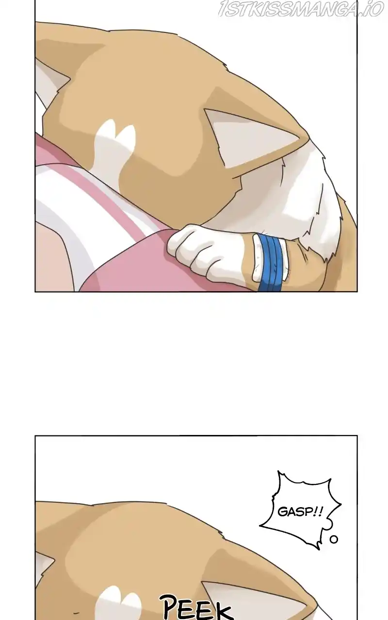 I Gave Birth to a Dog Chapter 84