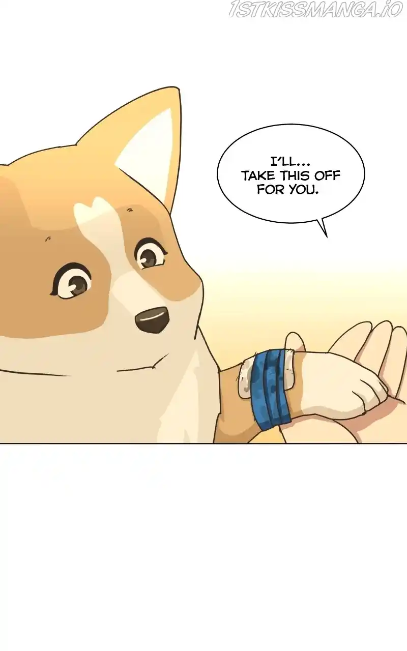 I Gave Birth to a Dog Chapter 84