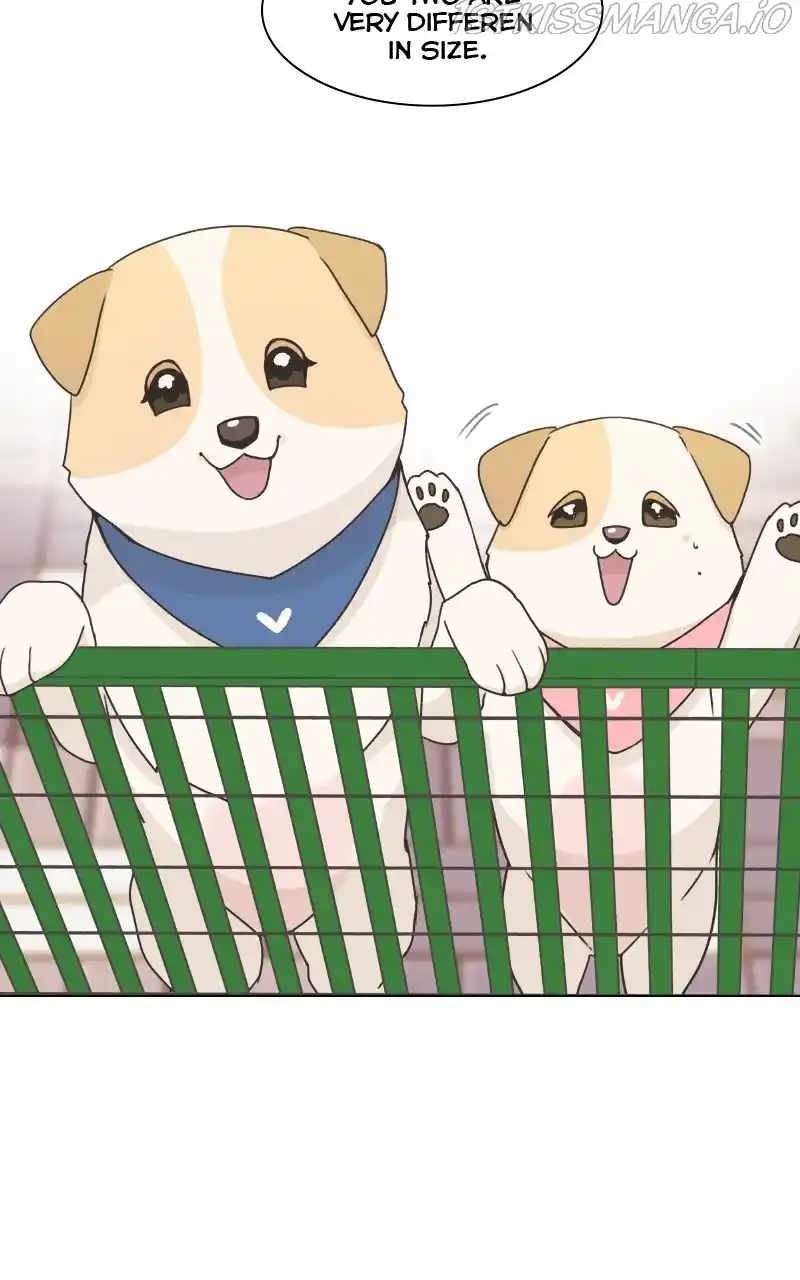 I Gave Birth to a Dog Chapter 84