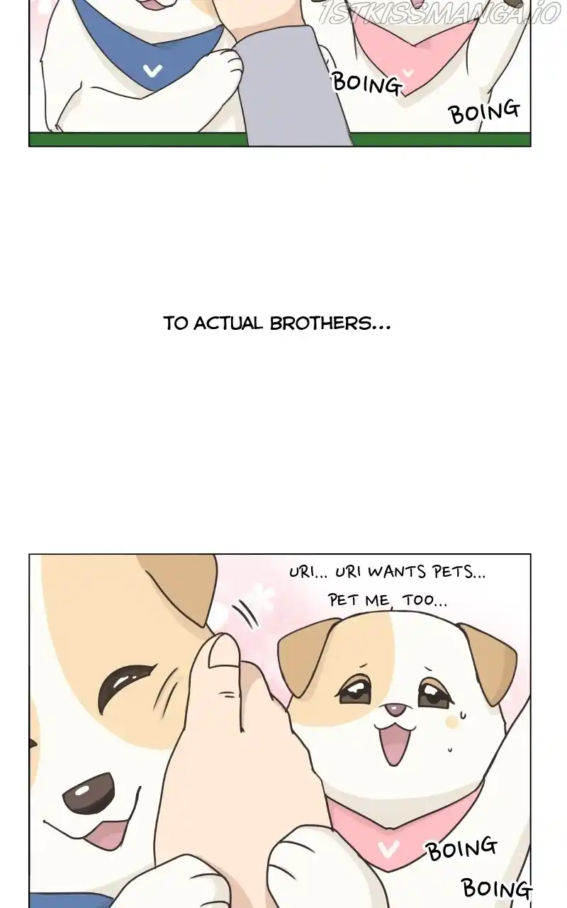 I Gave Birth to a Dog Chapter 84