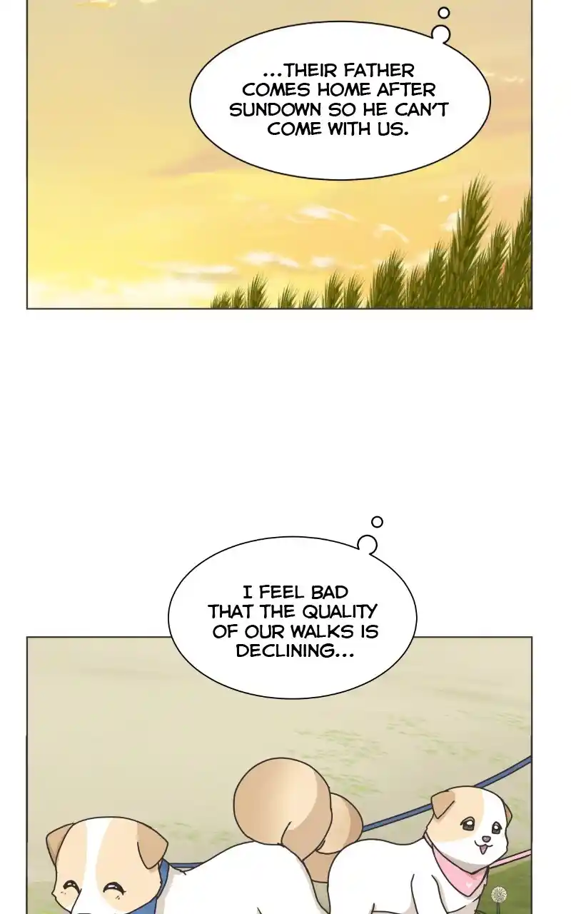 I Gave Birth to a Dog Chapter 85