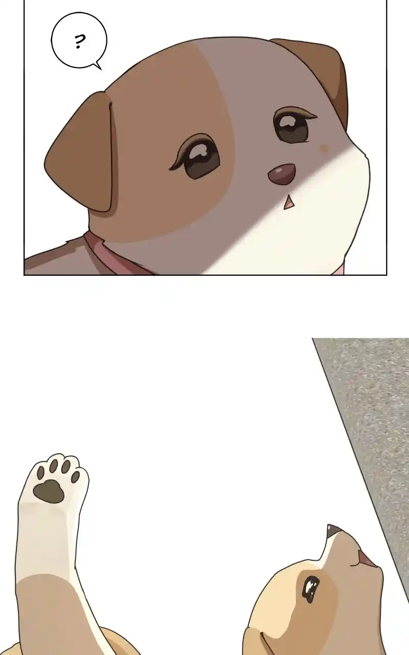 I Gave Birth to a Dog Chapter 85