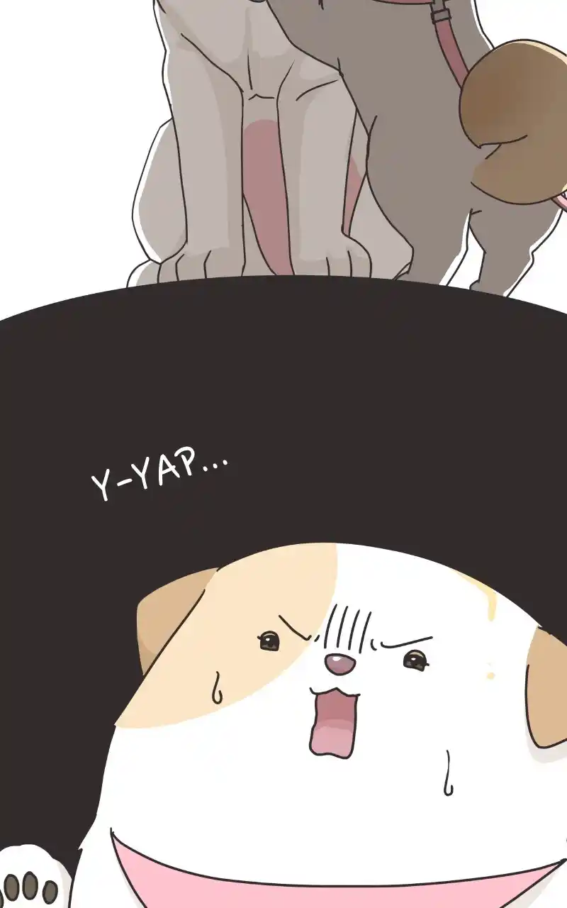 I Gave Birth to a Dog Chapter 85