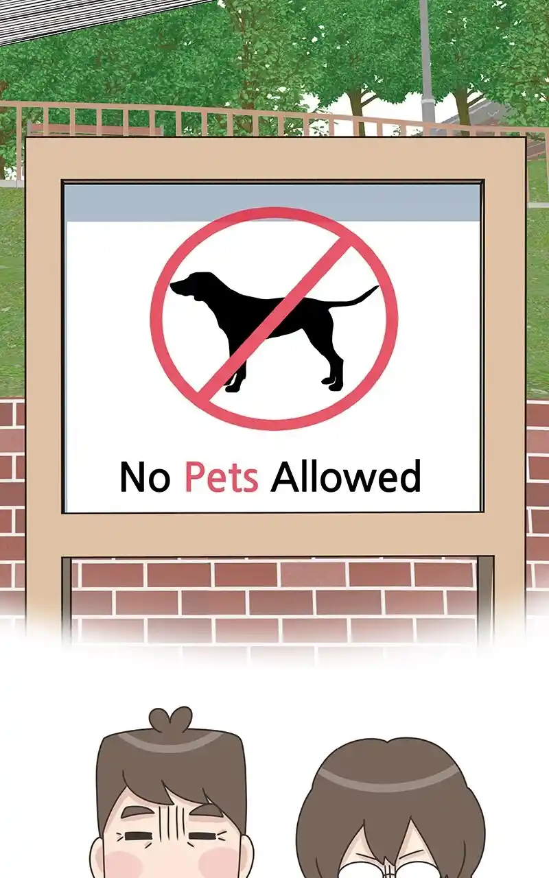 I Gave Birth to a Dog Chapter 85