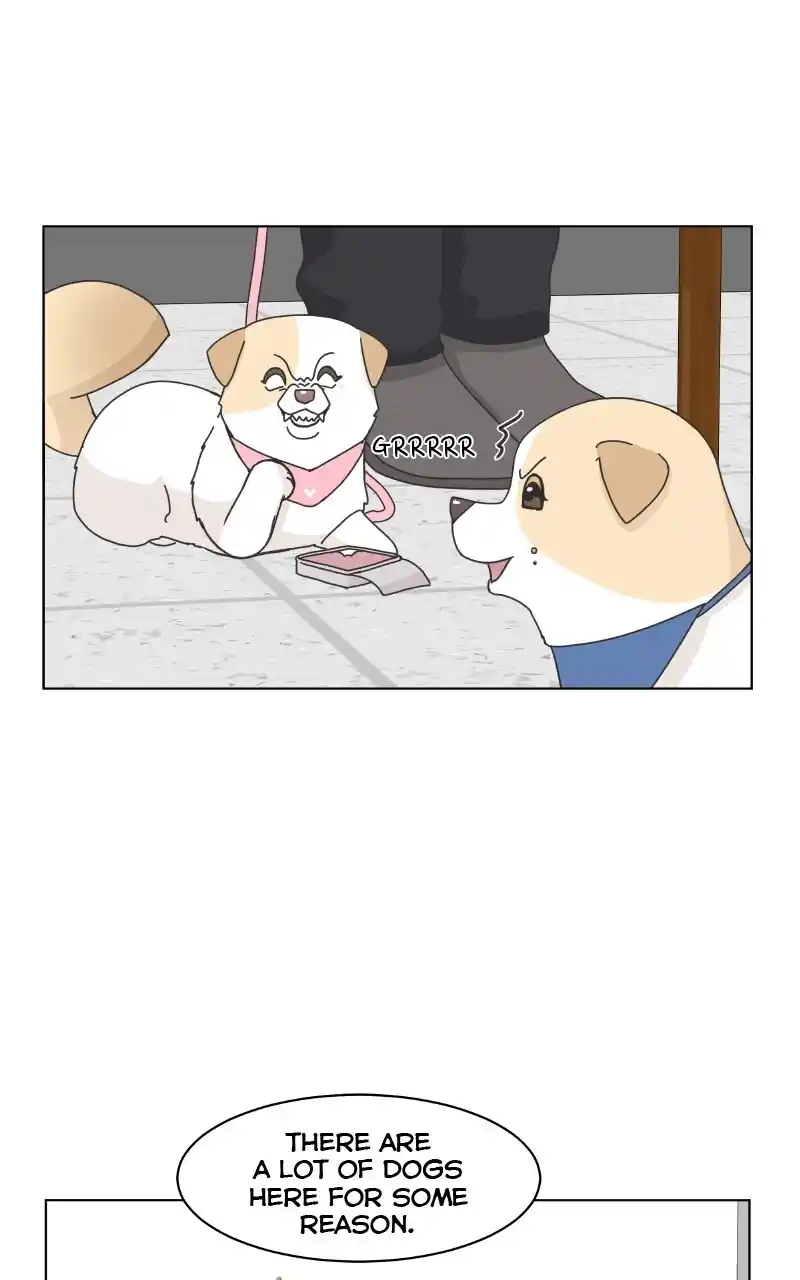 I Gave Birth to a Dog Chapter 85