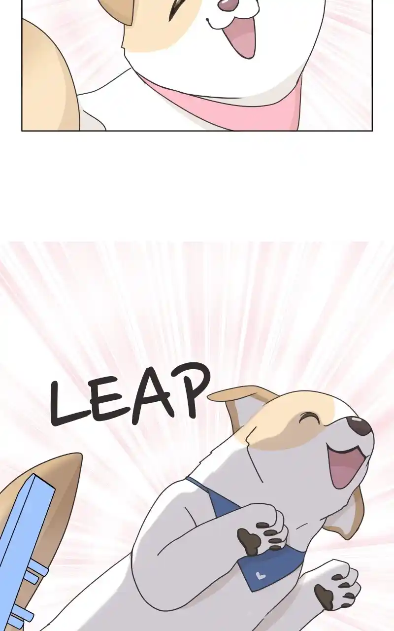 I Gave Birth to a Dog Chapter 85