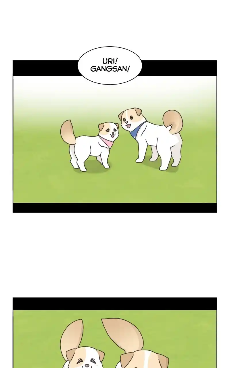 I Gave Birth to a Dog Chapter 86