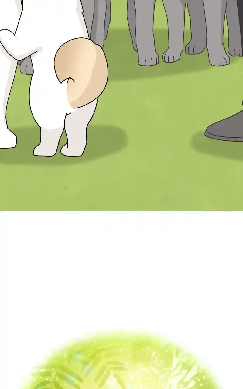 I Gave Birth to a Dog Chapter 86