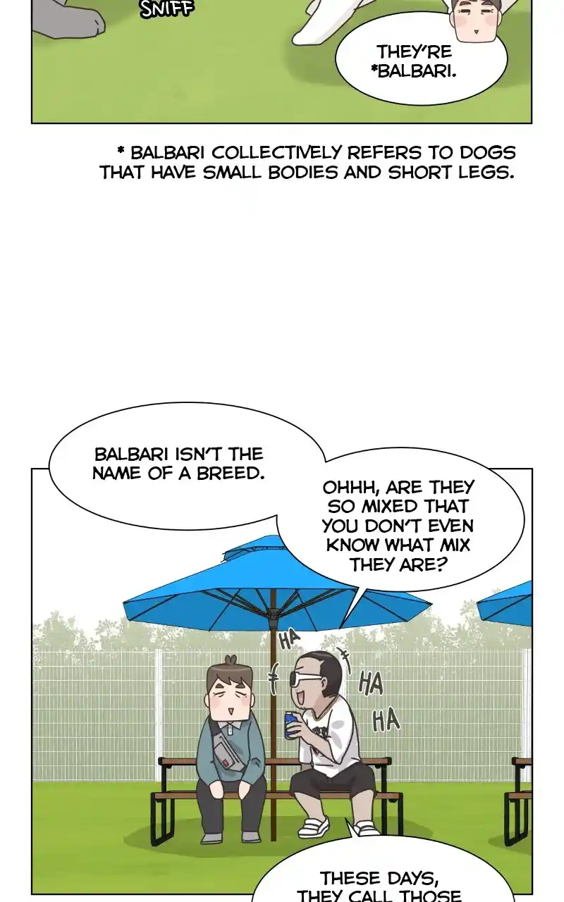 I Gave Birth to a Dog Chapter 86