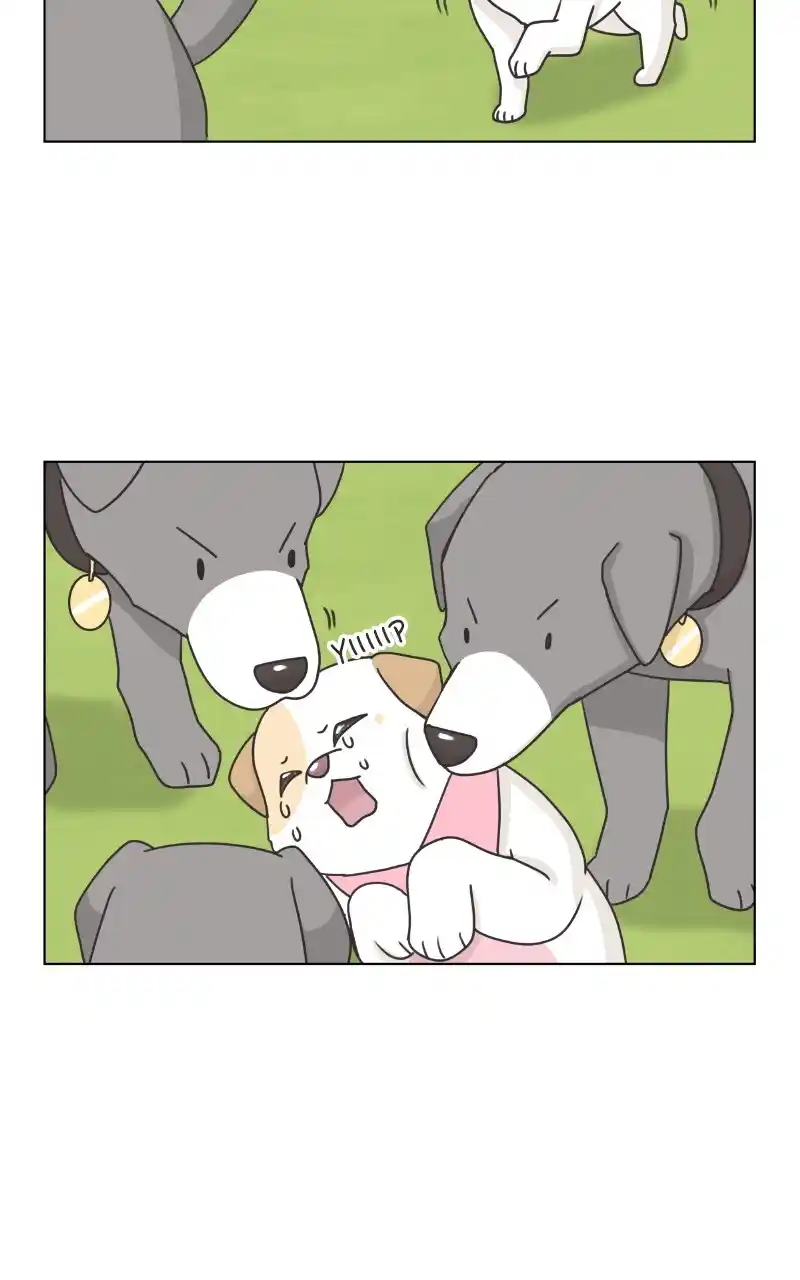 I Gave Birth to a Dog Chapter 86