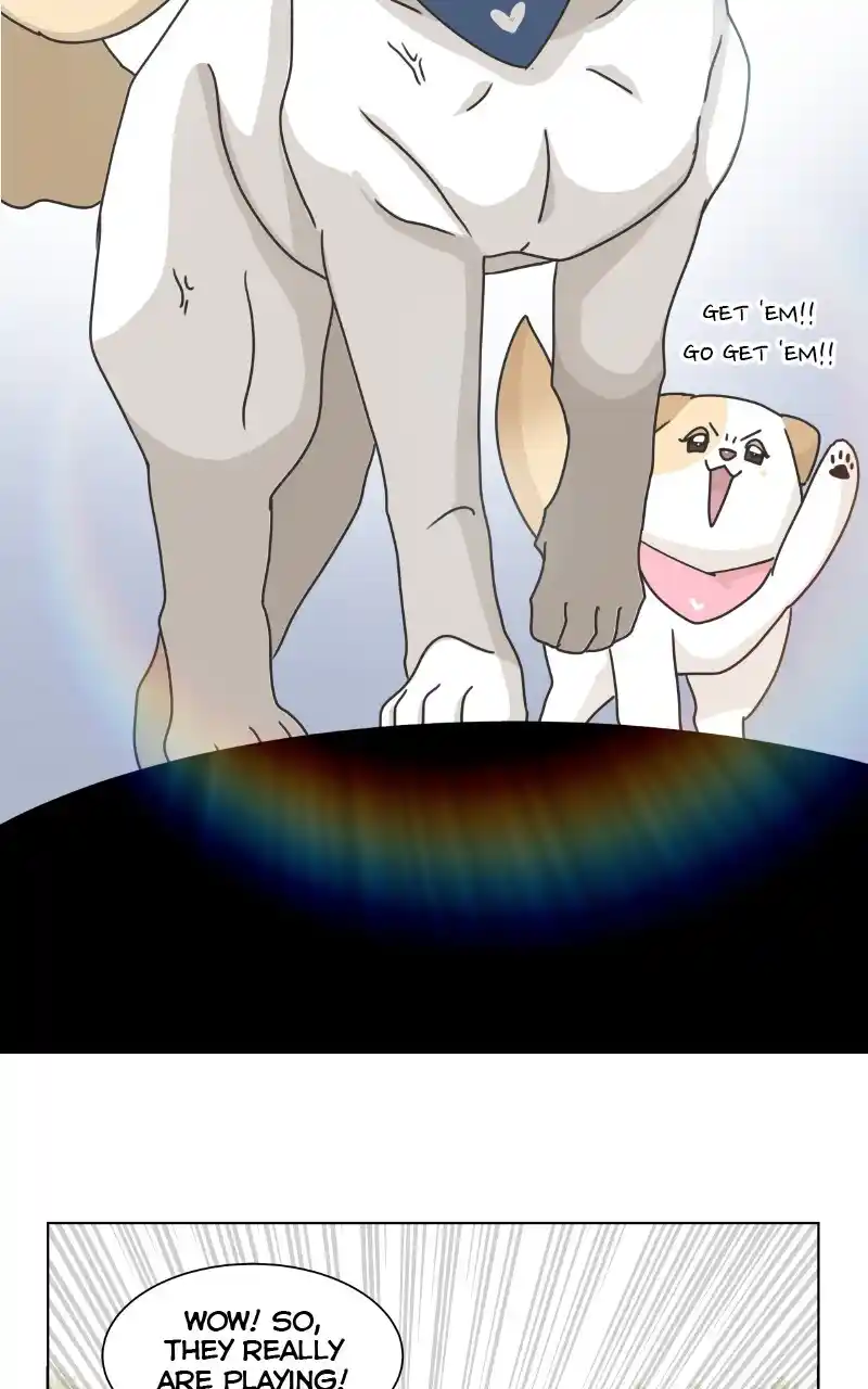 I Gave Birth to a Dog Chapter 86