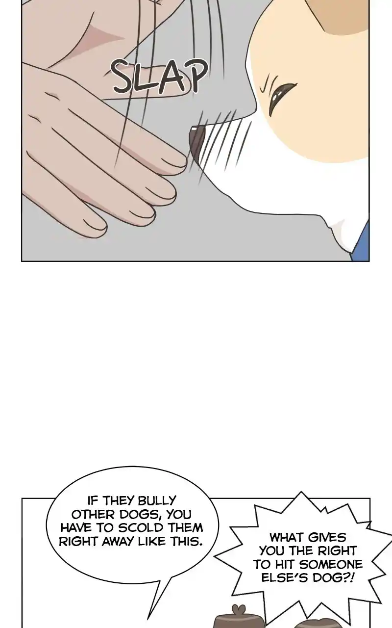 I Gave Birth to a Dog Chapter 87