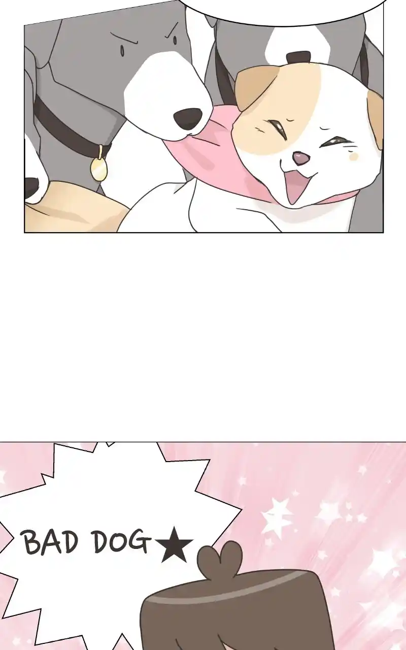 I Gave Birth to a Dog Chapter 87