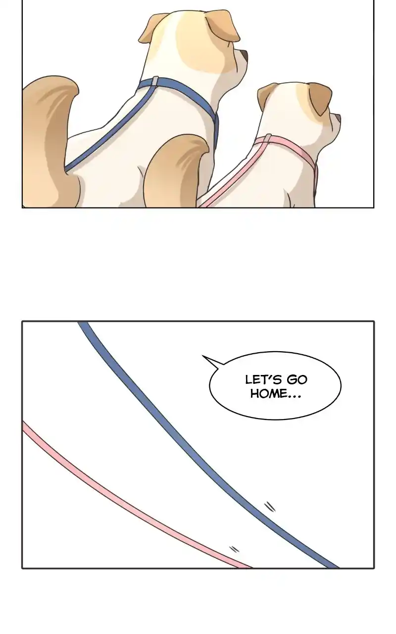 I Gave Birth to a Dog Chapter 87