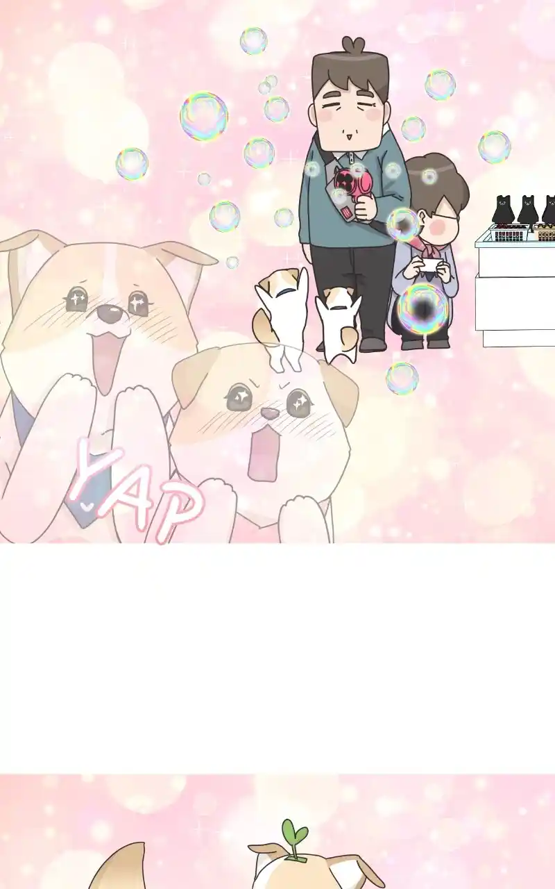 I Gave Birth to a Dog Chapter 87