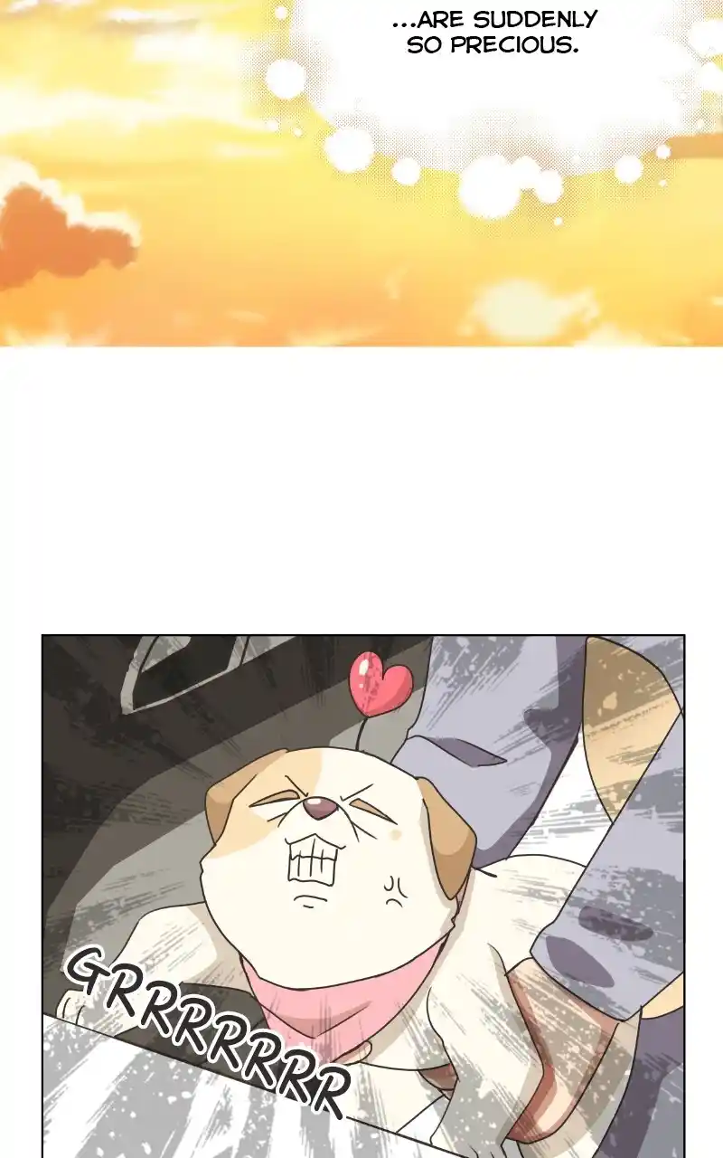 I Gave Birth to a Dog Chapter 87