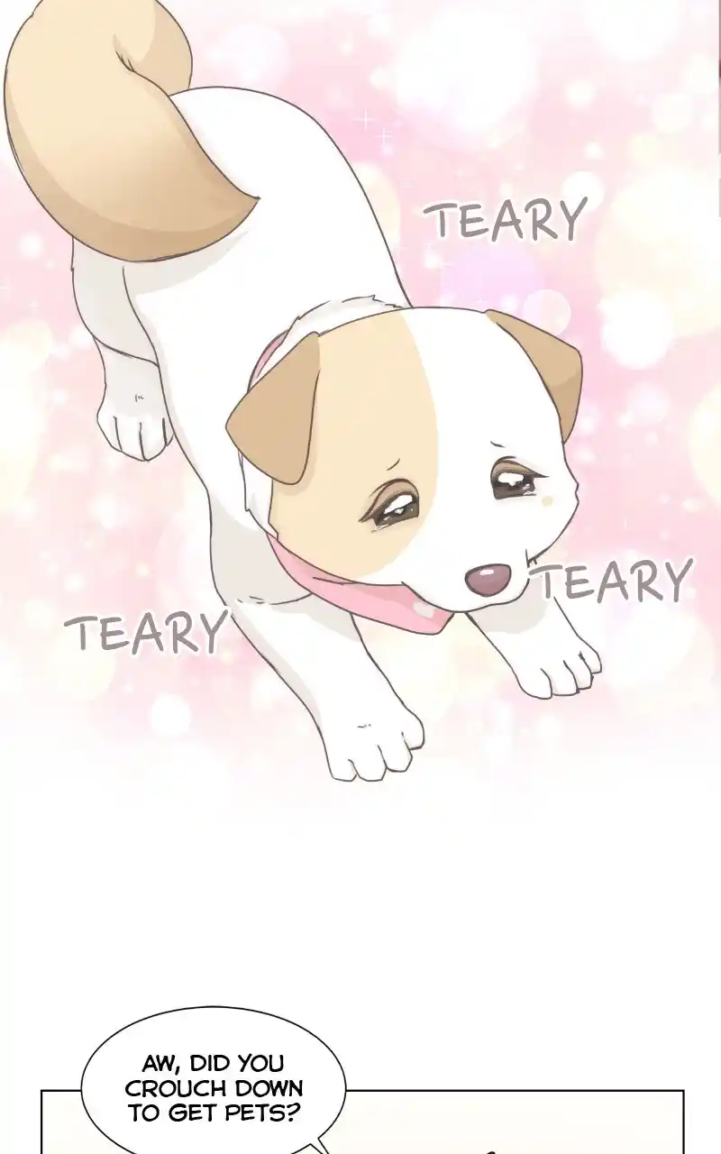 I Gave Birth to a Dog Chapter 87