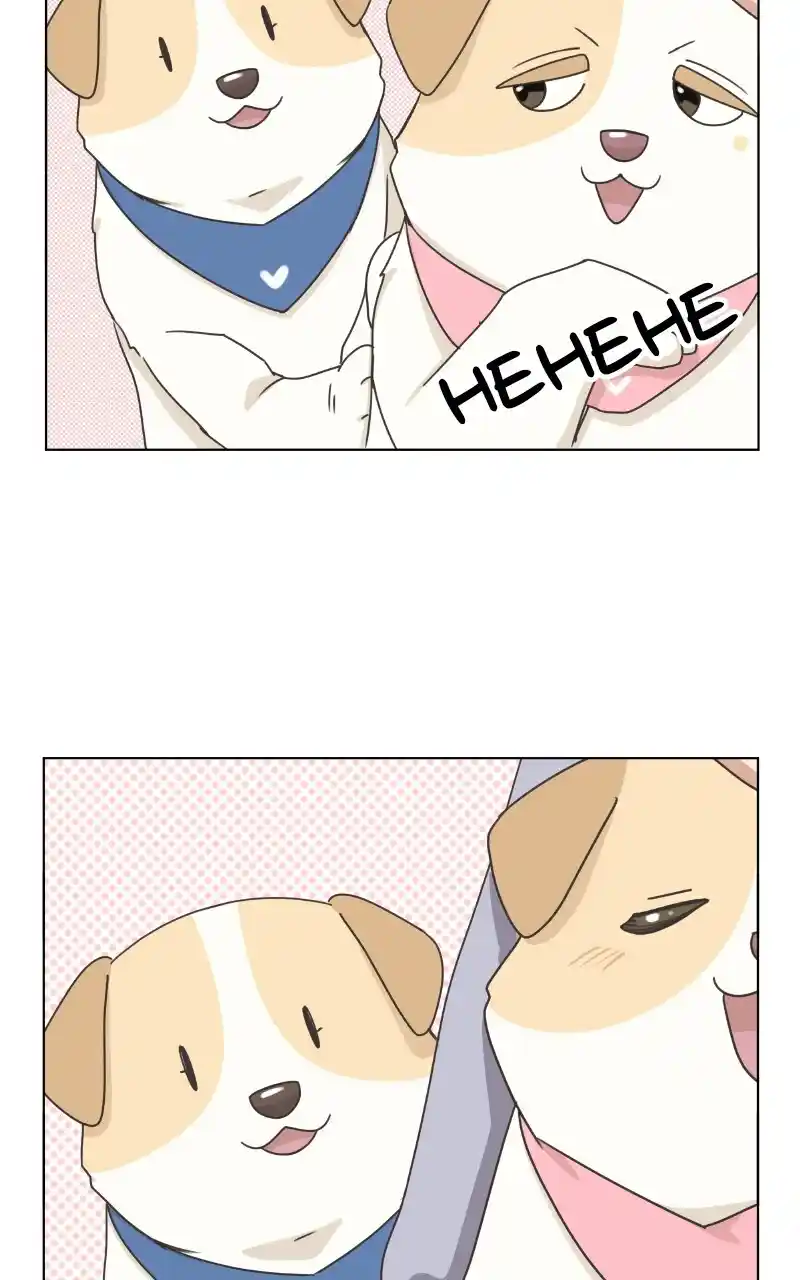 I Gave Birth to a Dog Chapter 87