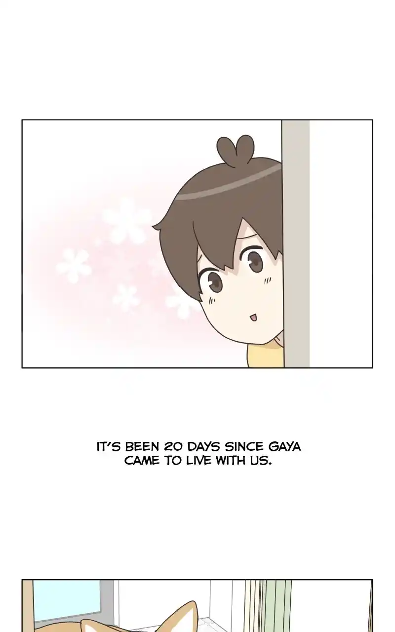 I Gave Birth to a Dog Chapter 88