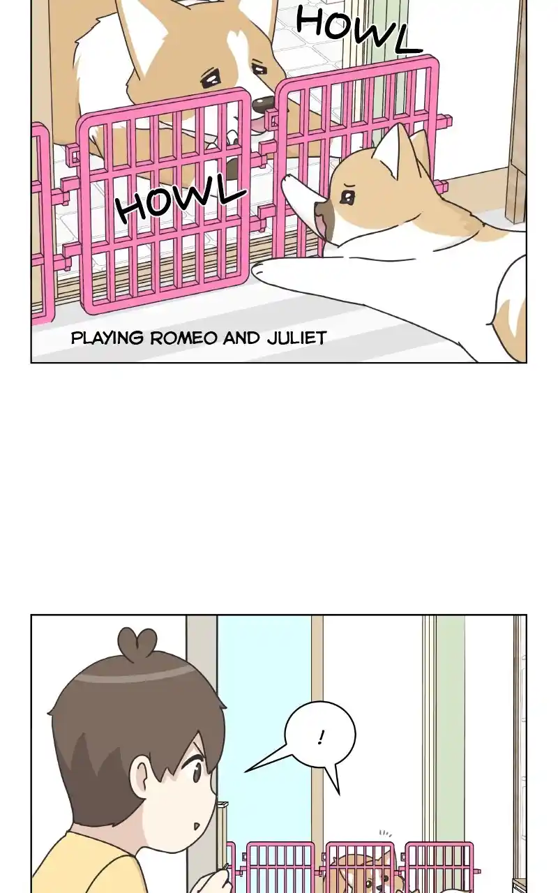 I Gave Birth to a Dog Chapter 88