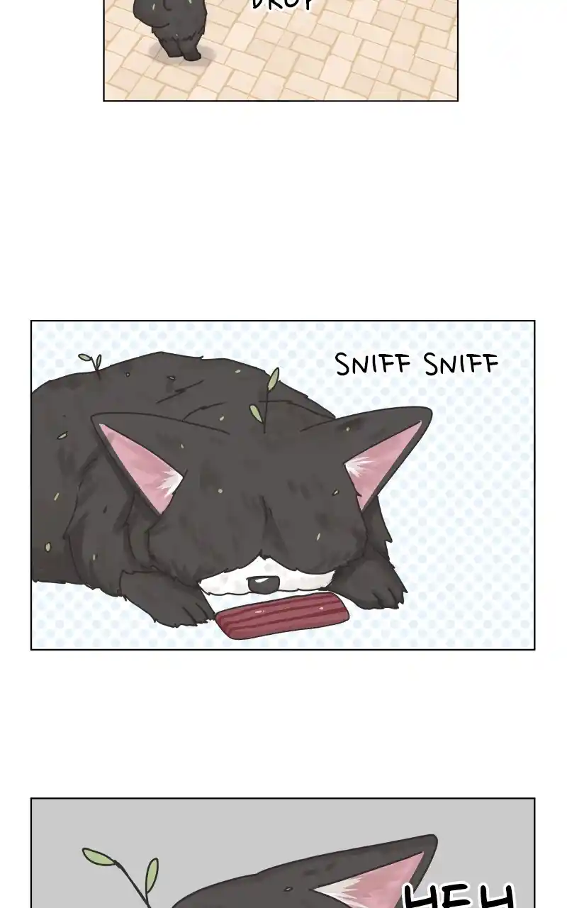 I Gave Birth to a Dog Chapter 88