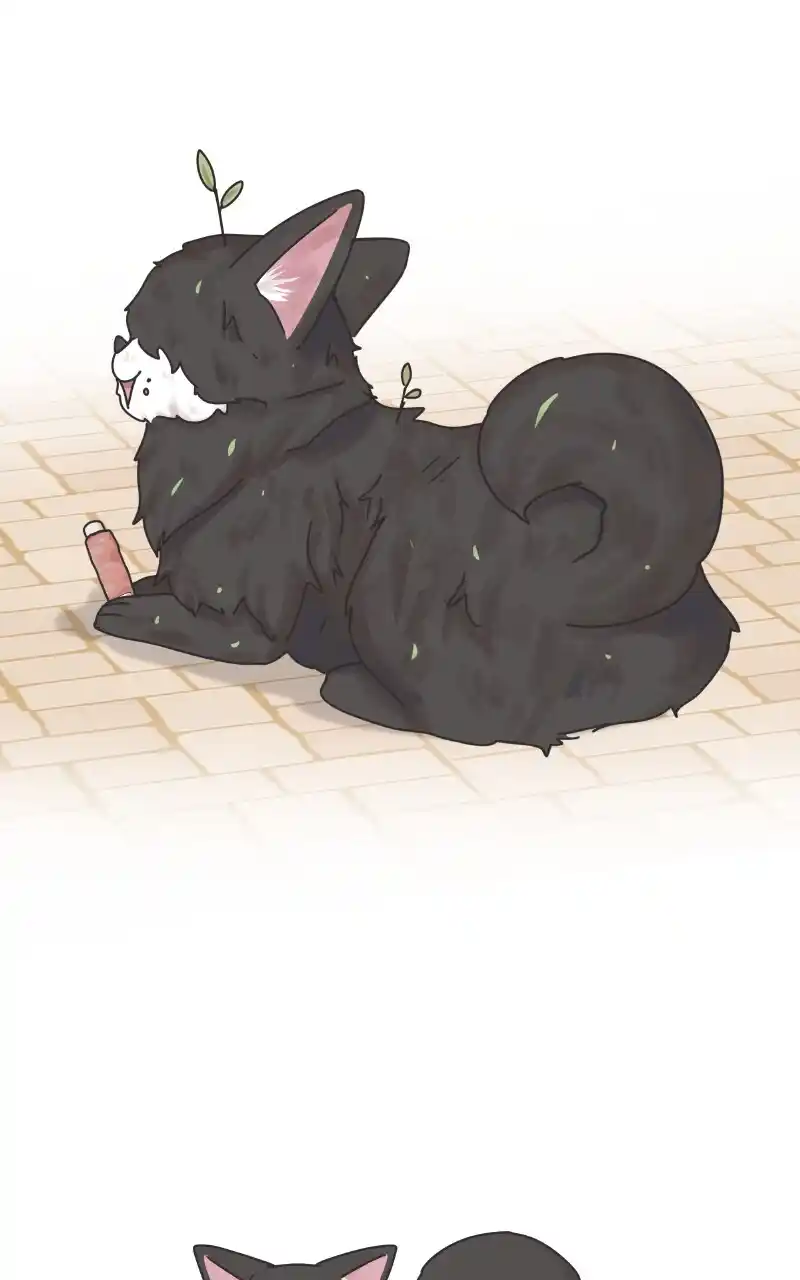 I Gave Birth to a Dog Chapter 88