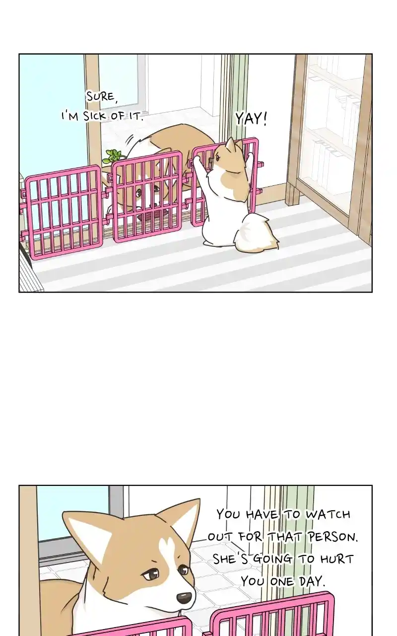 I Gave Birth to a Dog Chapter 88