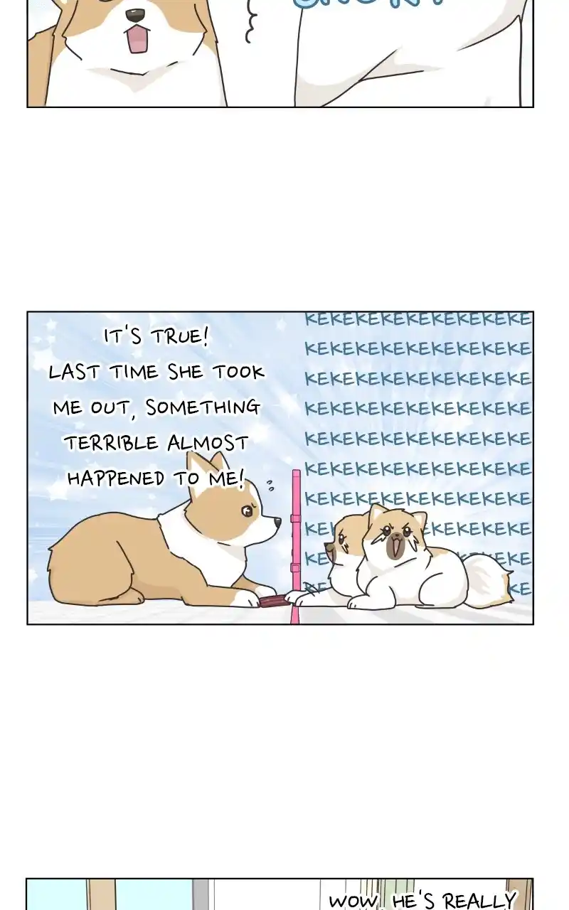 I Gave Birth to a Dog Chapter 88