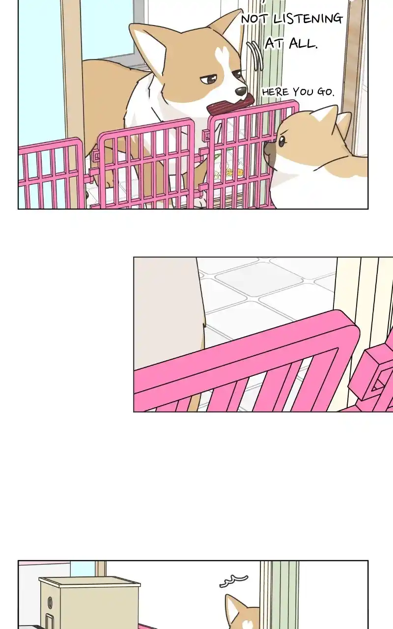 I Gave Birth to a Dog Chapter 88