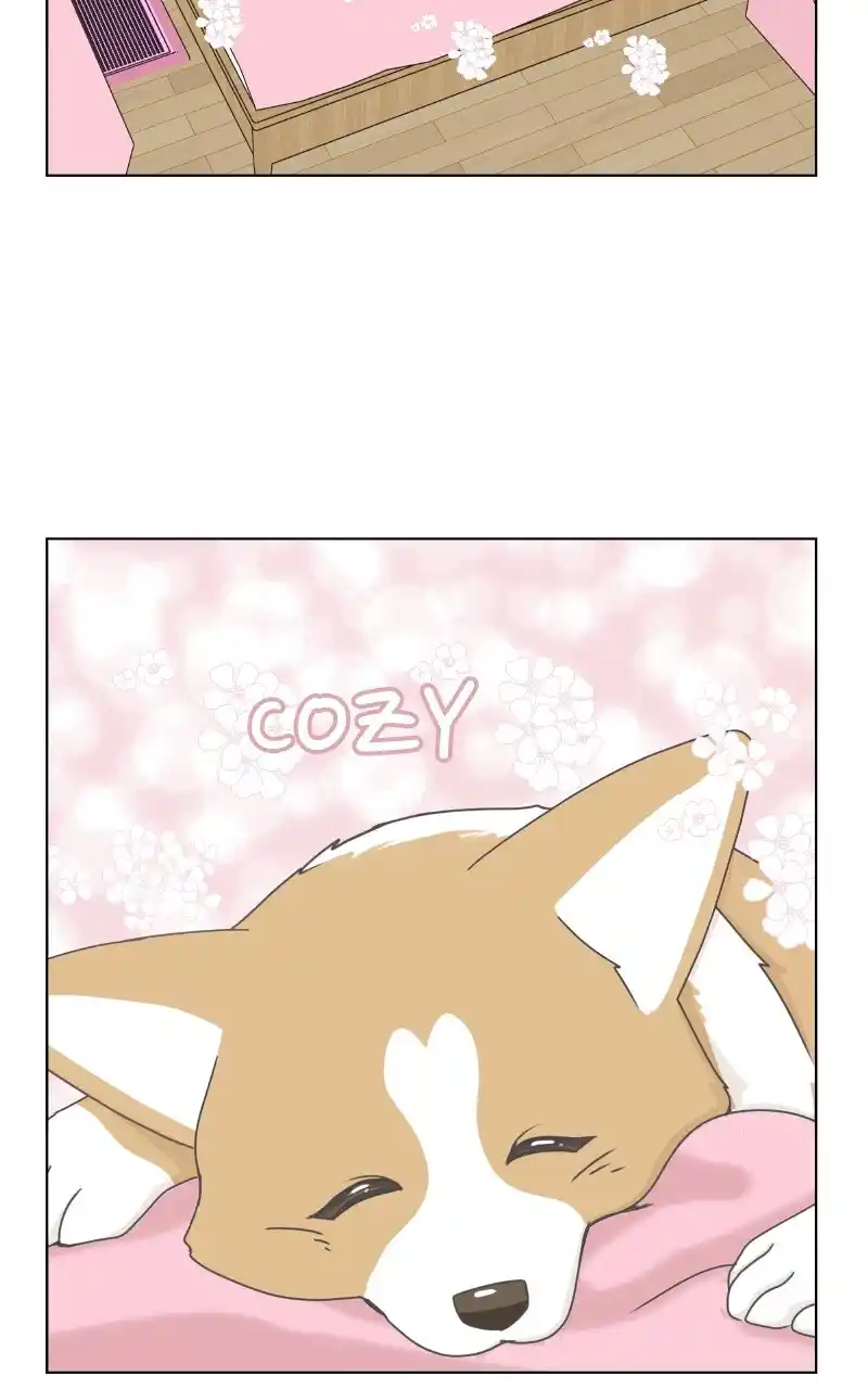 I Gave Birth to a Dog Chapter 89