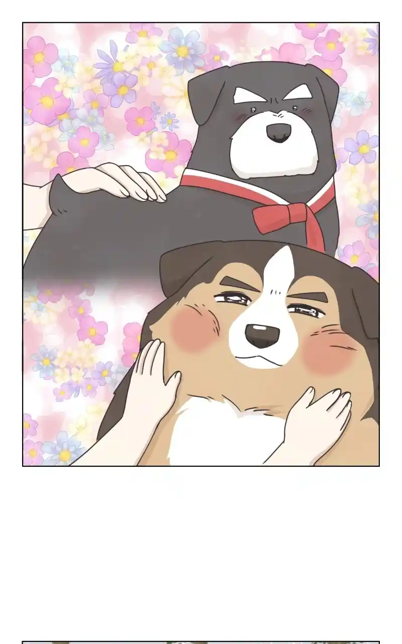 I Gave Birth to a Dog Chapter 89